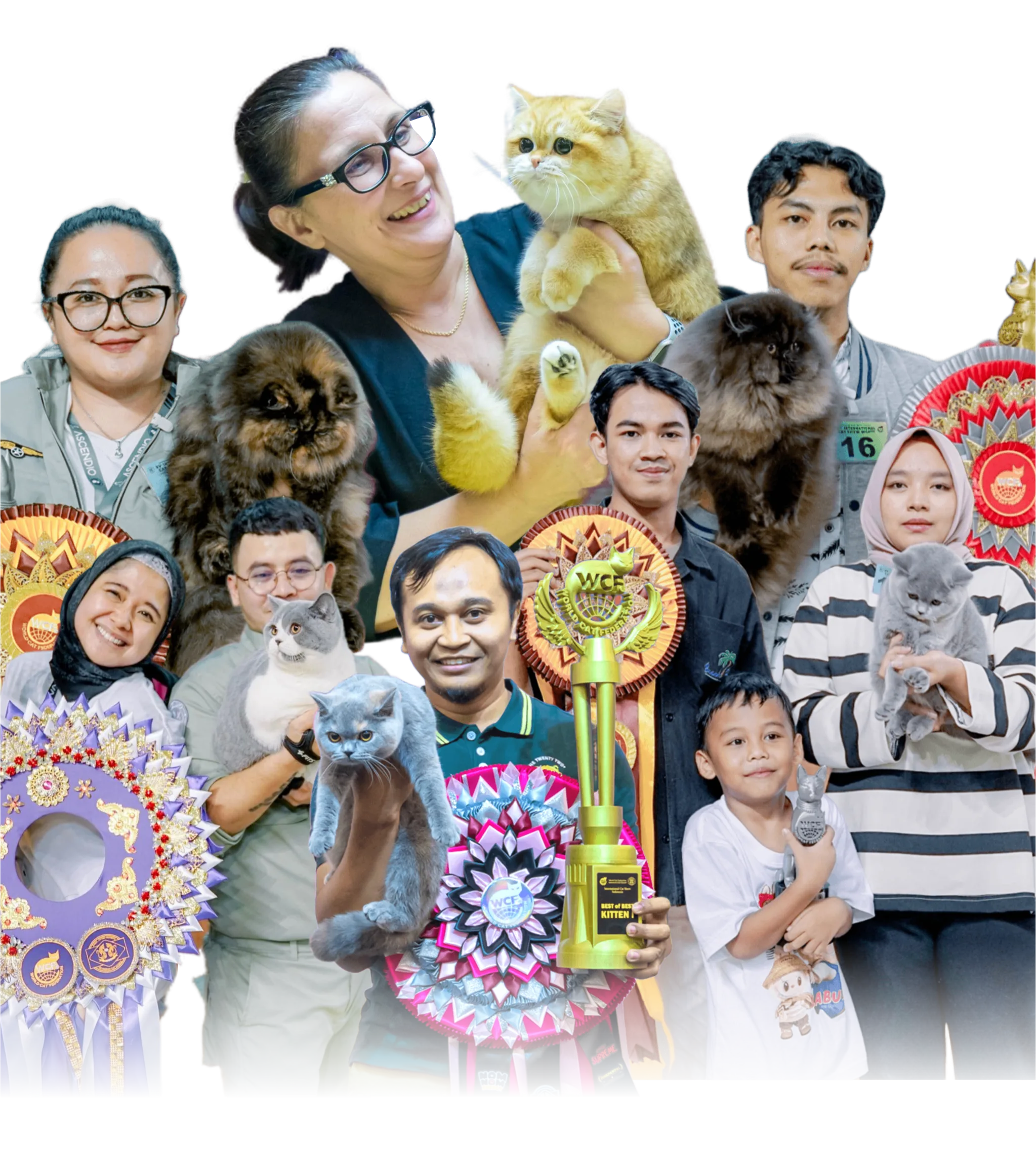 Foto Pegang Kucing